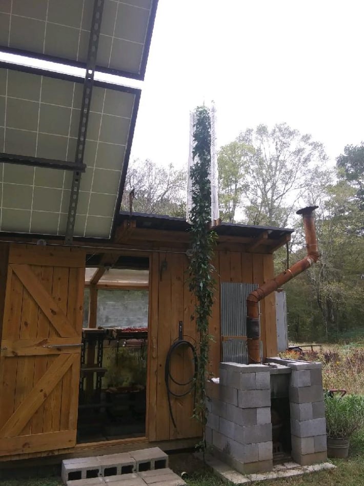 world record tallest pepper plant