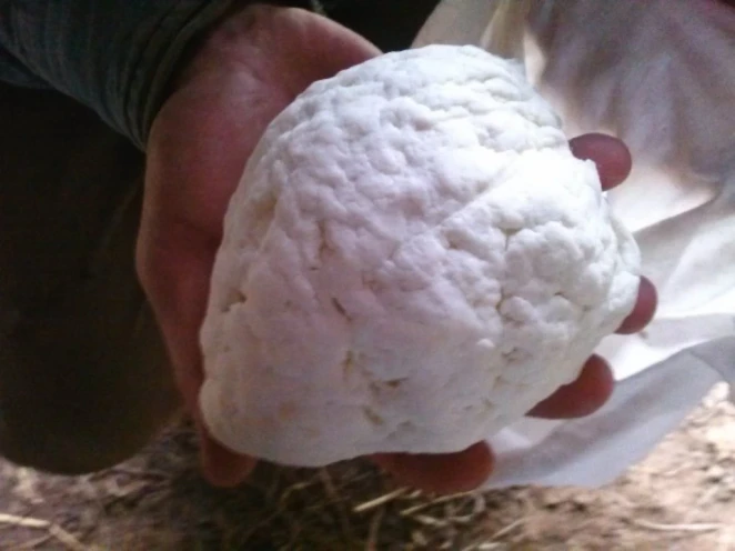 ball of cheese