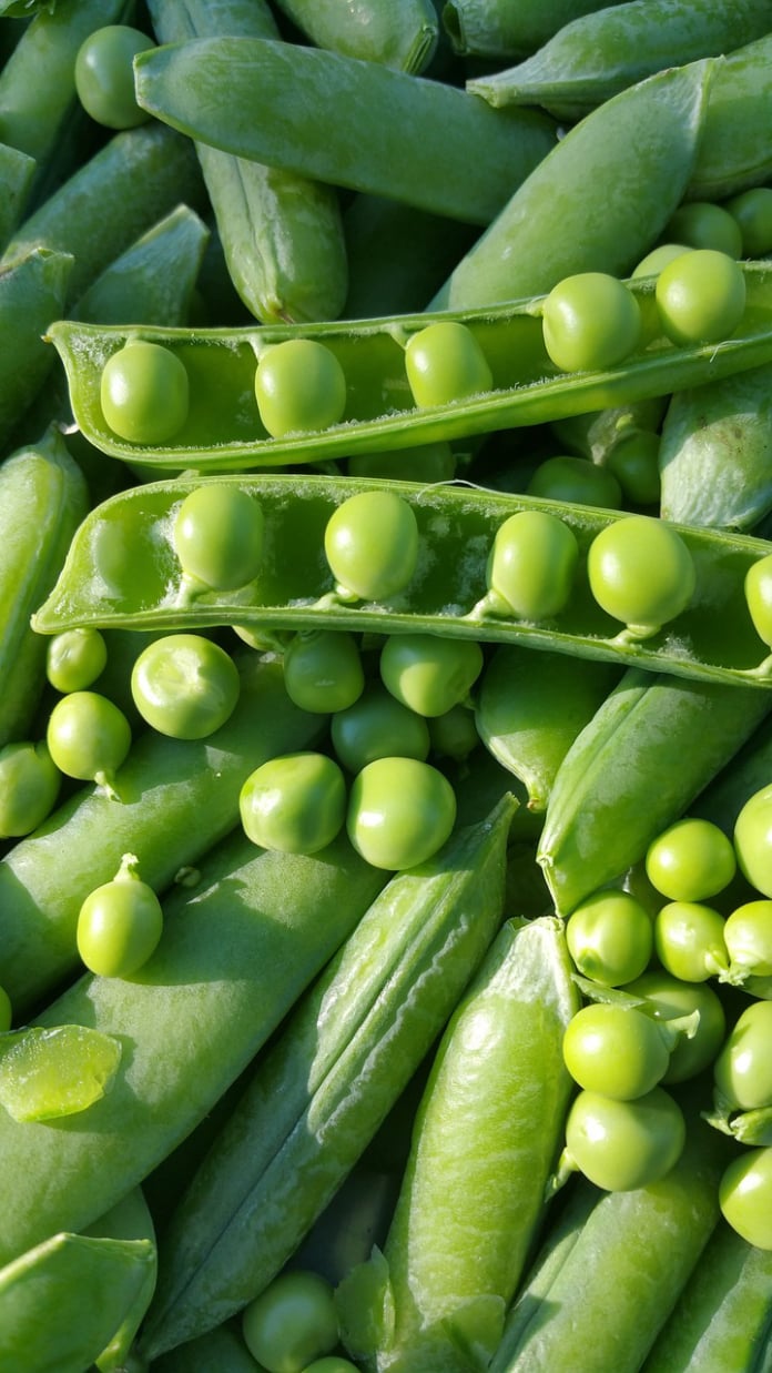 sweet peas