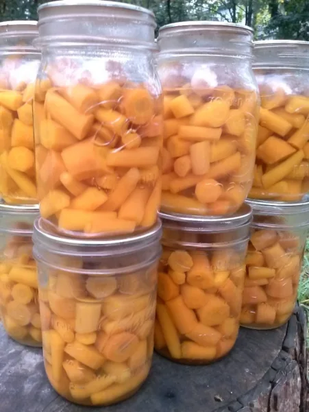 canned carrots