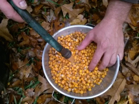 rinsing hominy some more