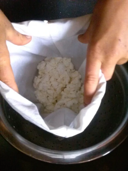 curds in cheese cloth