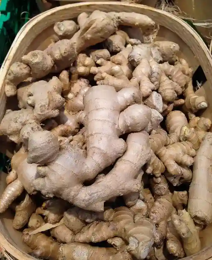 ginger root