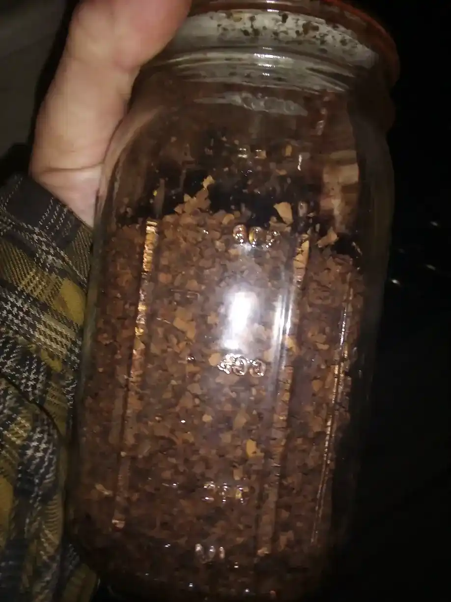 Cured tobacco in a mason jar