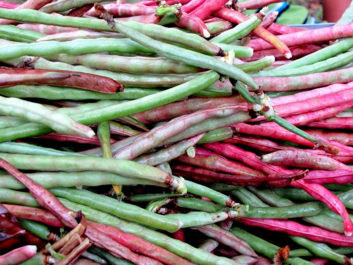 purple hull southern peas