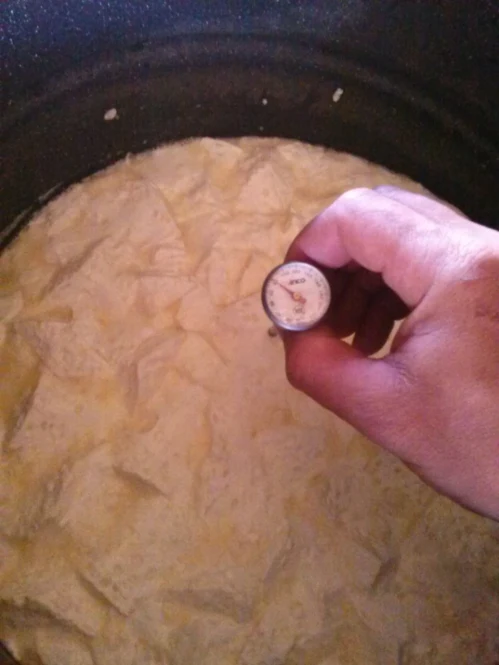 thermometer in pot with curds